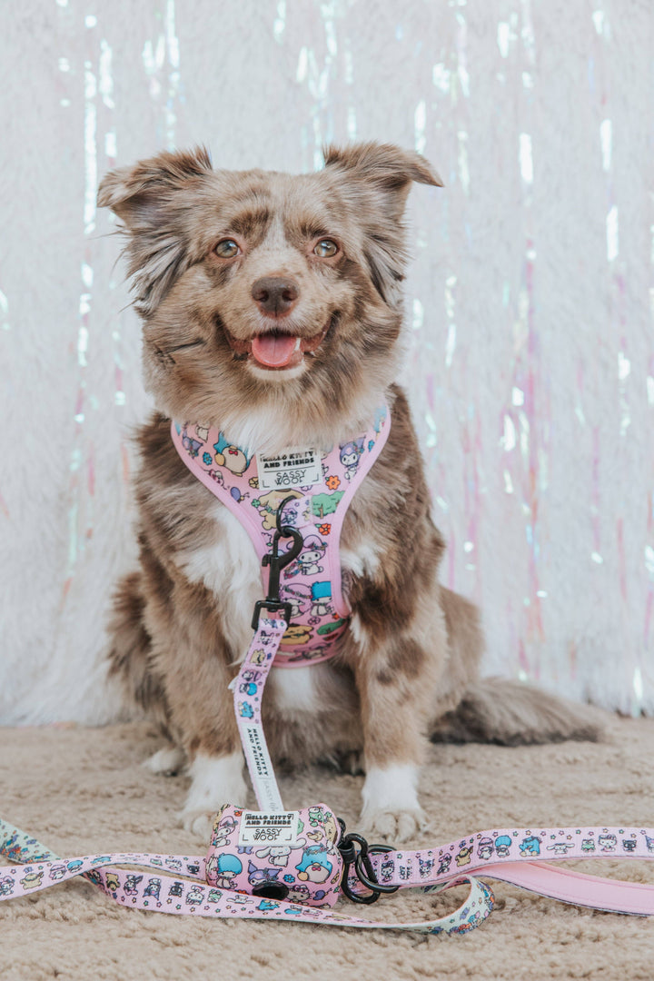 Hello Kitty® &amp; Friends Flower Festival Leash