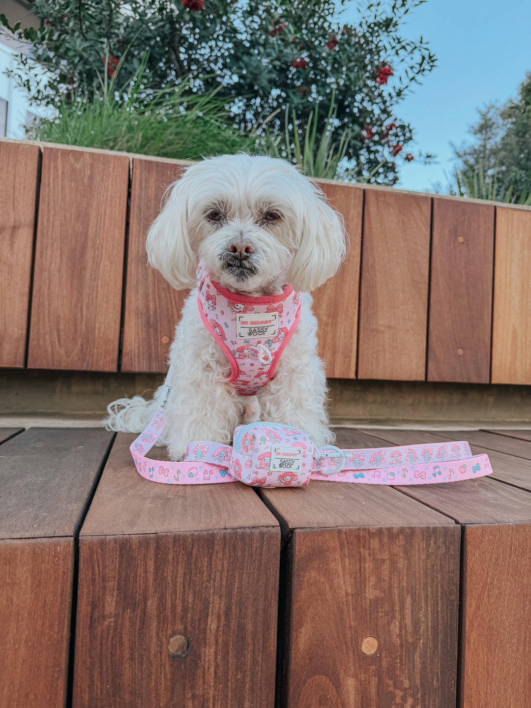 My Melody™ Adjustable Harness