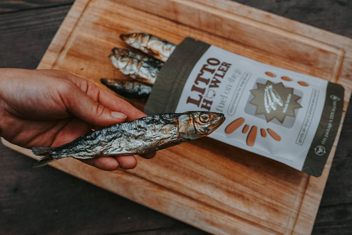Whole Sardines | 6 oz
