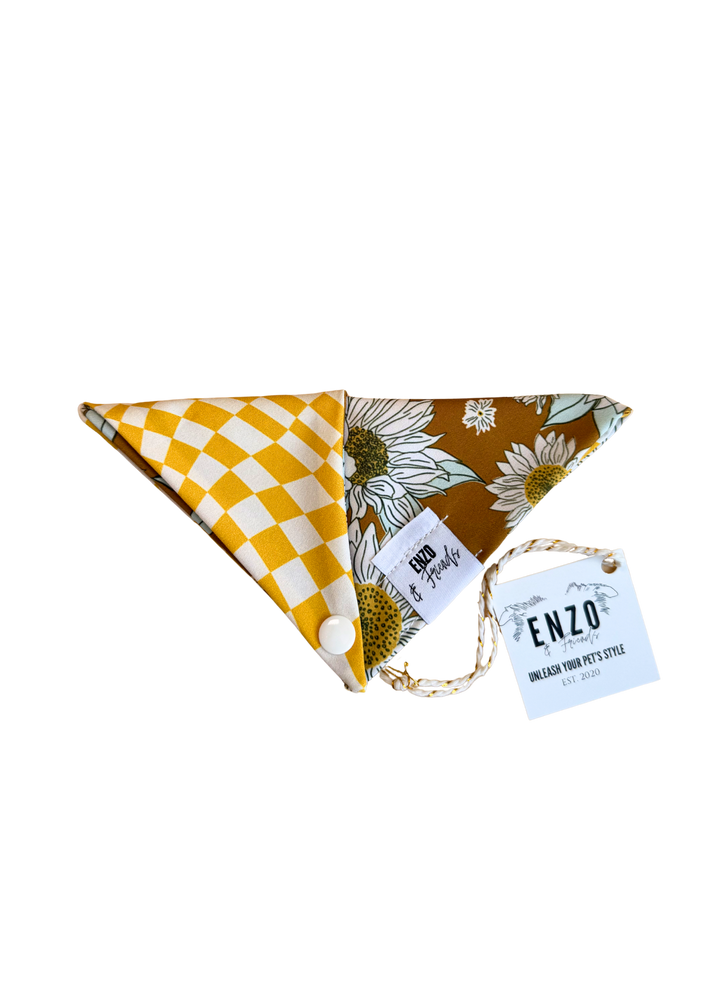 Enzo Yellow Checker + Daisy Bandana