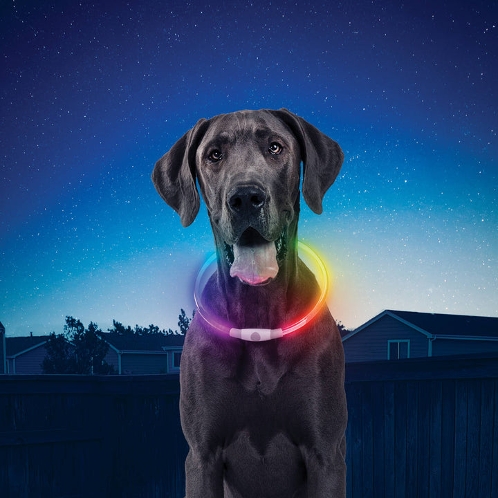 NiteHowl Rechargeable LED Safety Necklace Disco