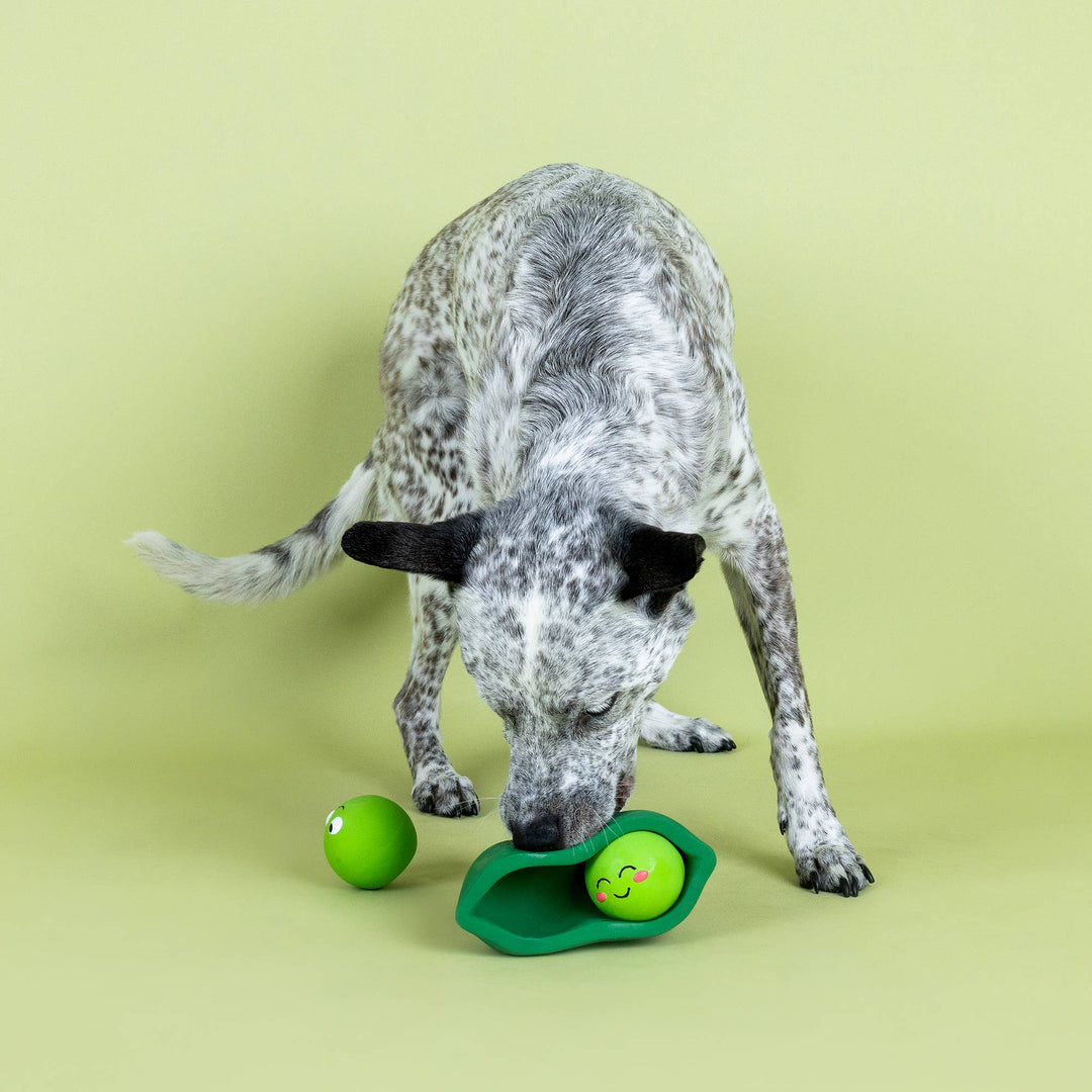 We Come In Peas Latex Dog Toy