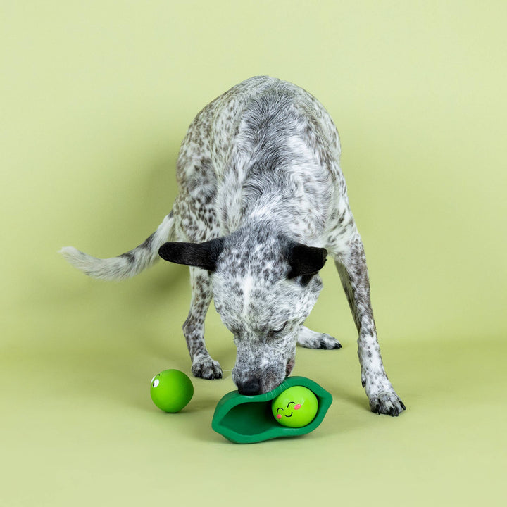 We Come In Peas Latex Dog Toy