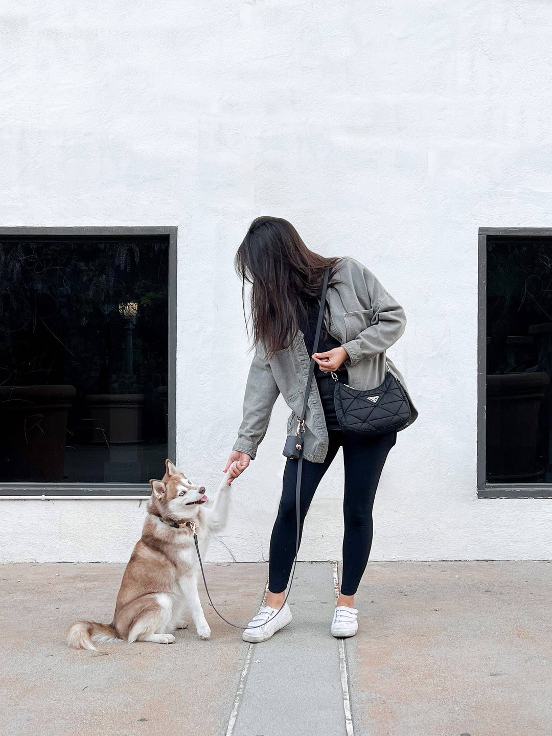 Ember Black 4-in-1 Convertible Hands Free Cloud Dog Leash
