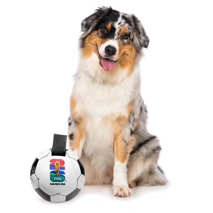 2026 FIFA World Cup Soccer Ball Pet Toy