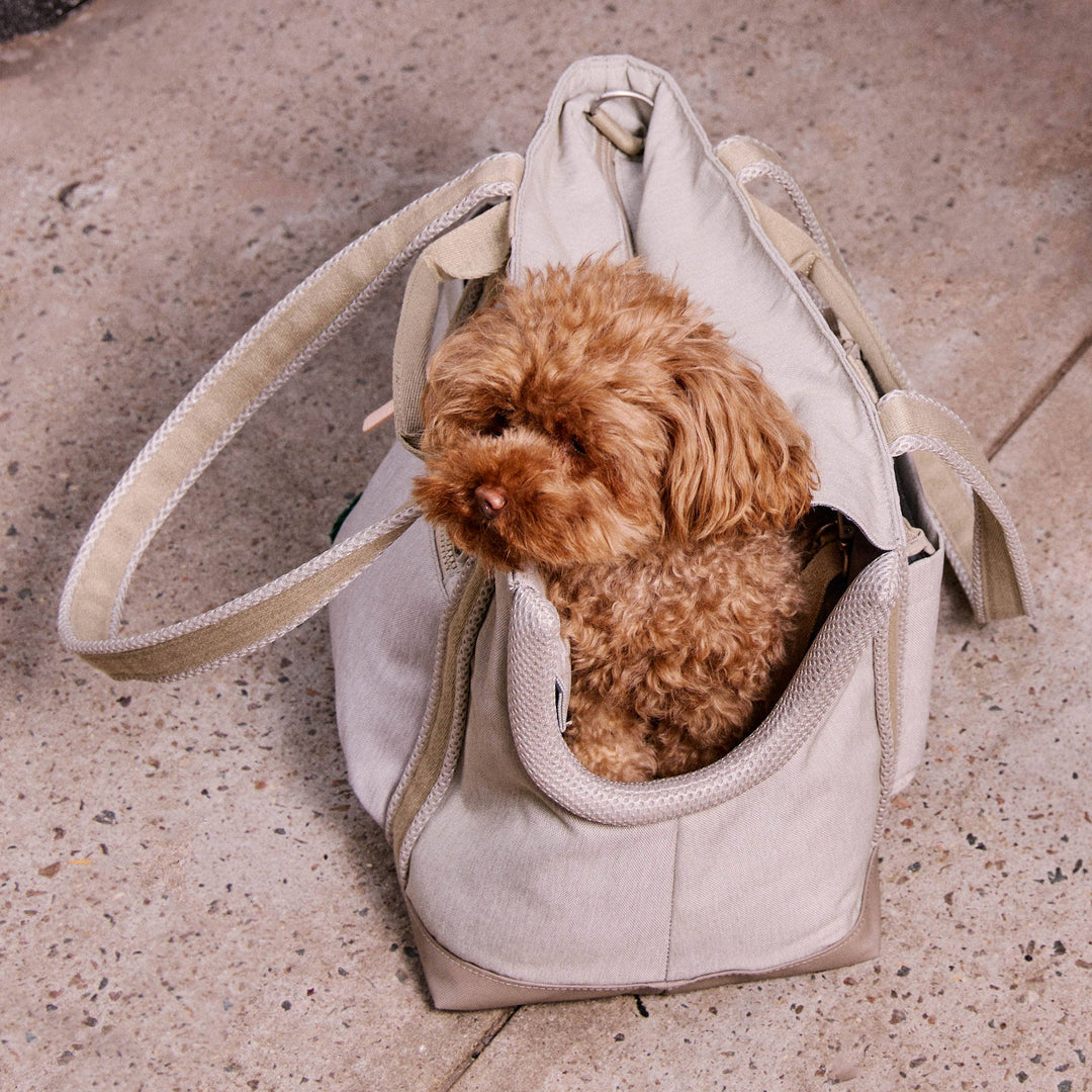 Transit Tote Dog Carrier