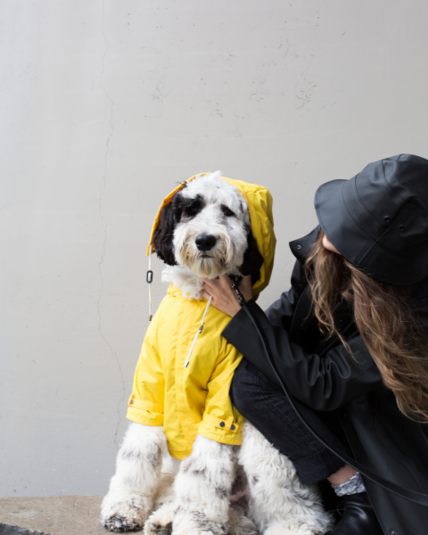 Talon Raincoat for Dogs