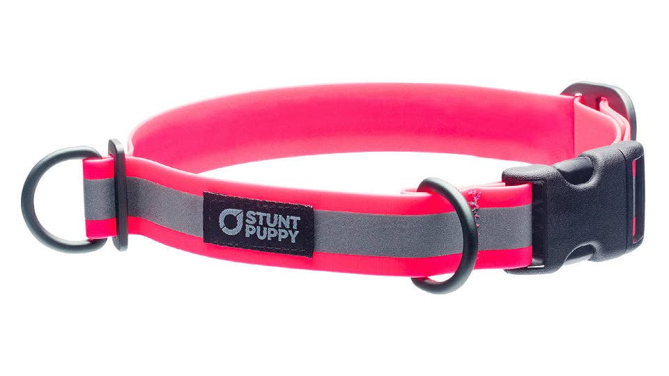 Collar Go Dog Glo Dry
