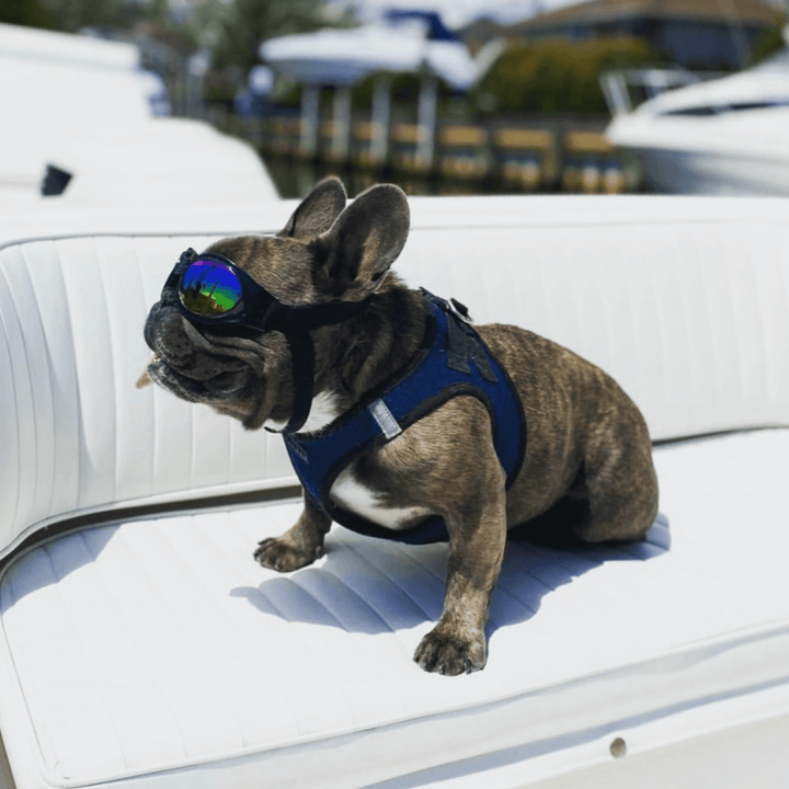 Sport Shades Dog Goggles