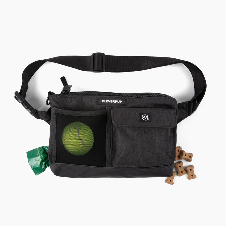 Dog Walk &amp; Train Sling Bag