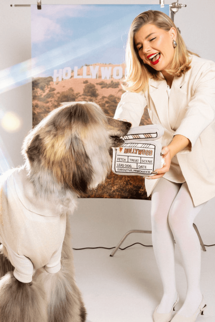 Hollywood Action Dog Plush Toy
