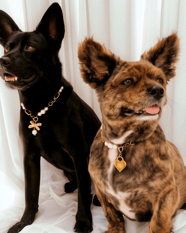 The Zoe Necklace