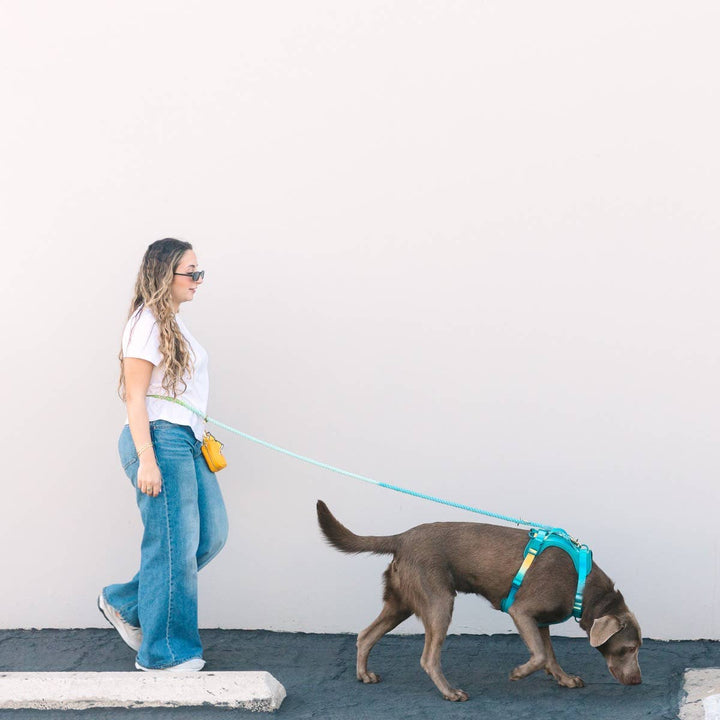 Alexandria Hands-Free Rope Leash