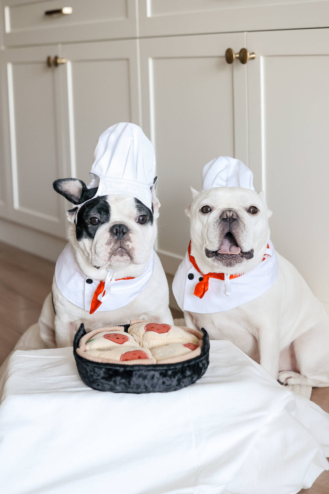 Deep Dish Pizza Enrichment Dog Toy