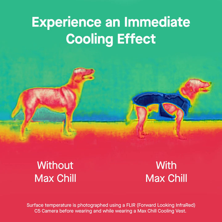 Max Chill Cooling Snood