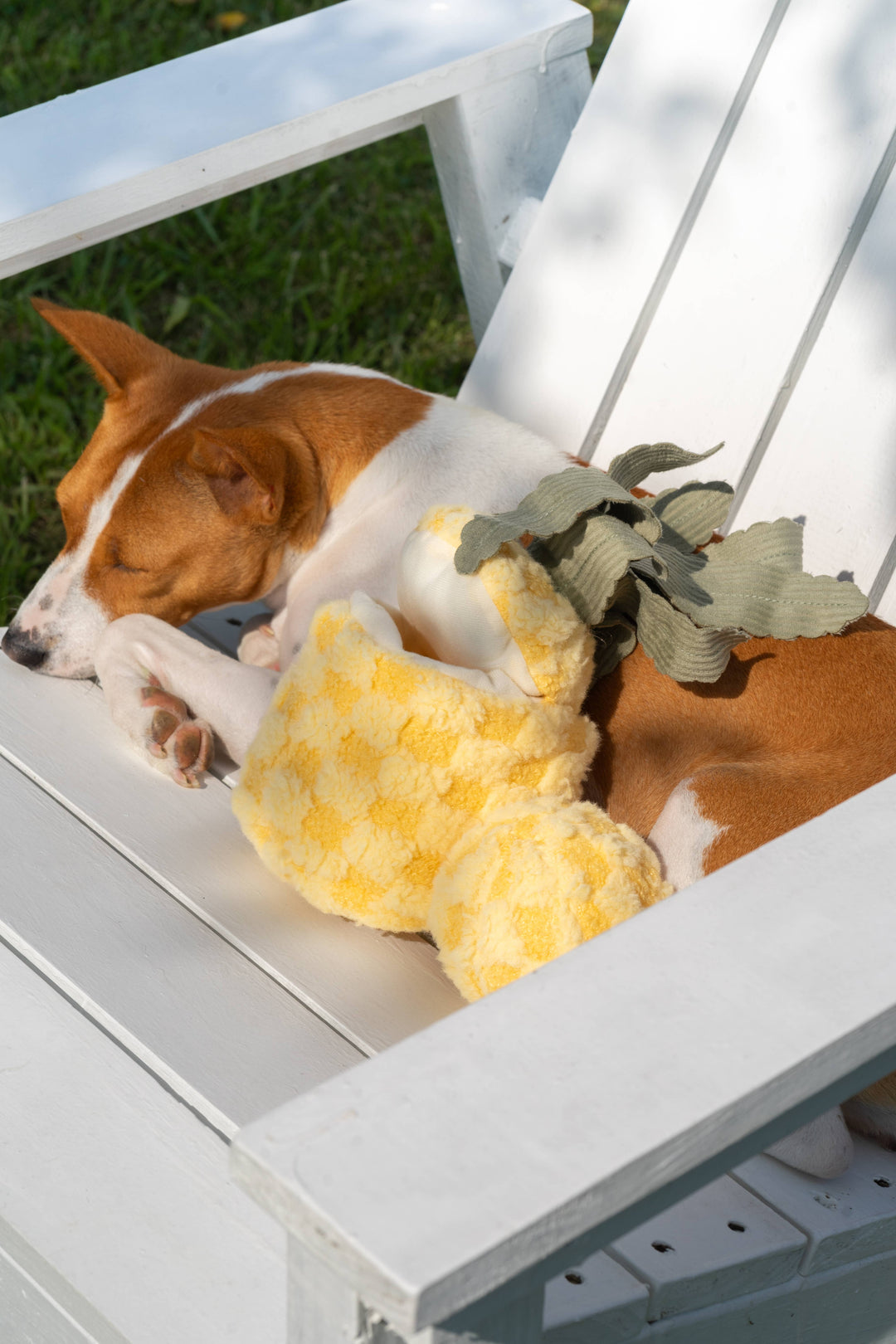 Pineapple Enrichment Dog Toy