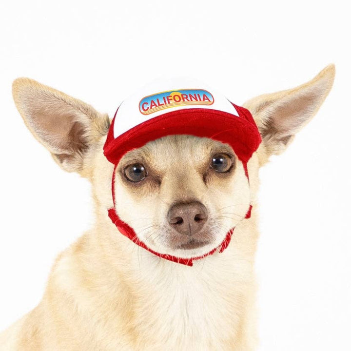 Pasadena Sunset Trucker Hat for Dogs