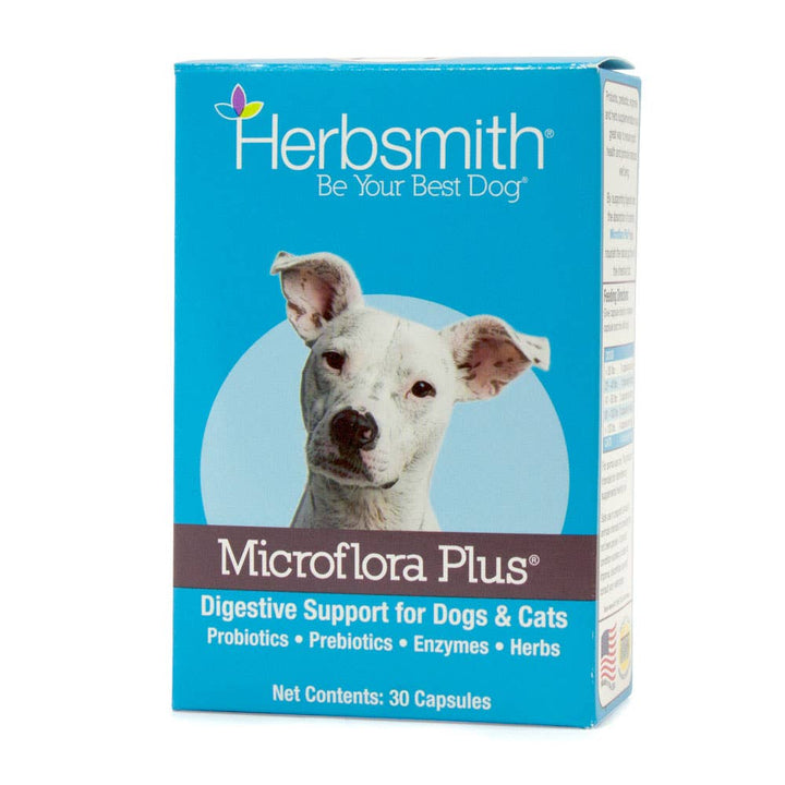 Microflora Plus: Daily Digestive Support for Dogs &amp; Cats