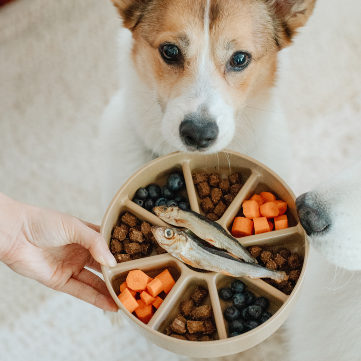 3-in-1 Bento Lick Mat + Slow Feeder
