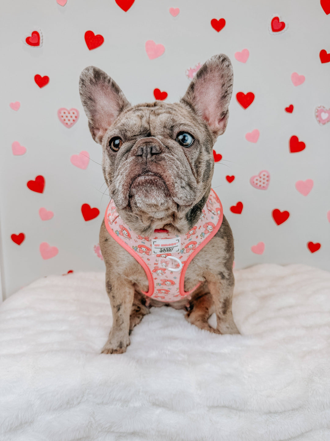 My Melody™ Adjustable Harness