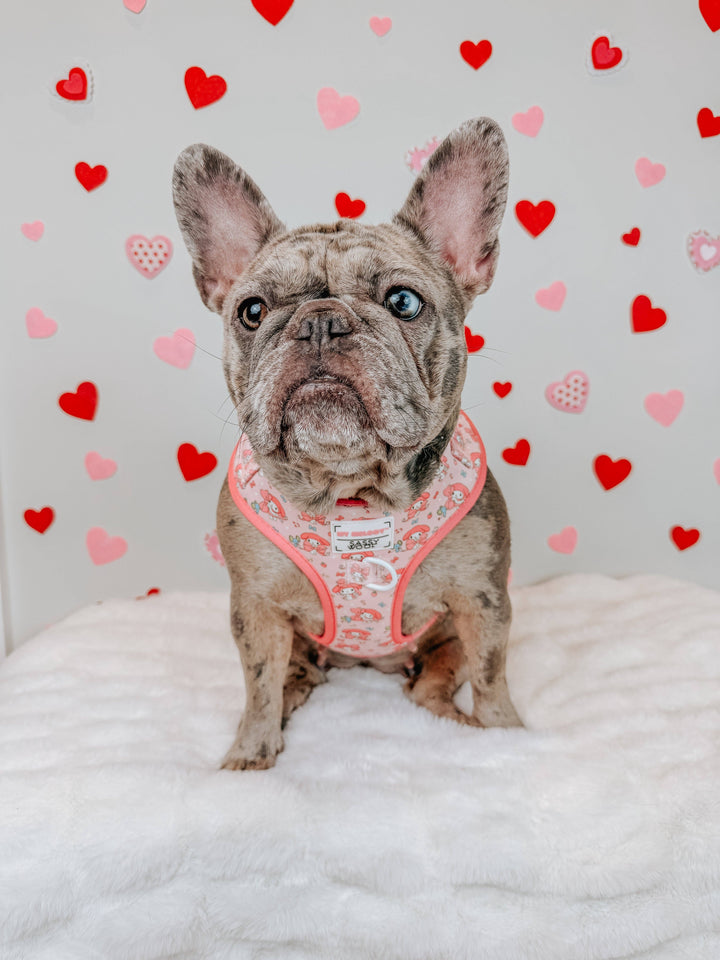 My Melody™ Adjustable Harness