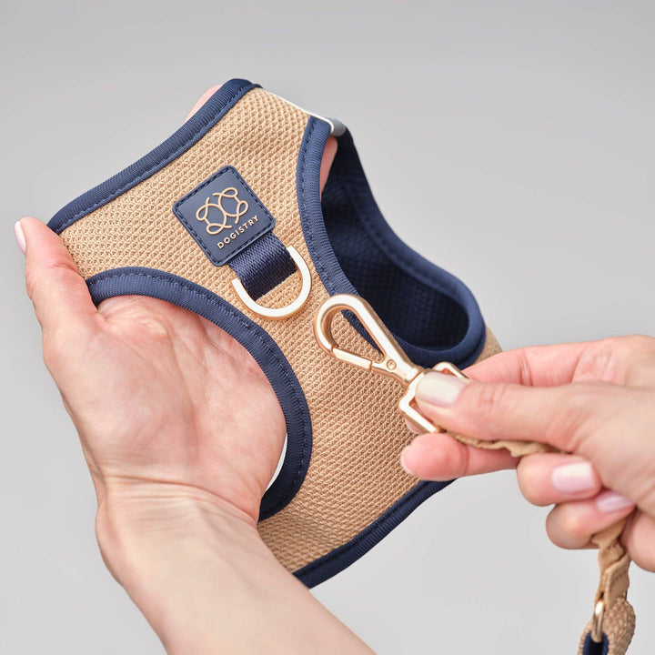 SoHo Dog Harness - Hamptons