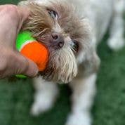 Squeaky Tennis Balls