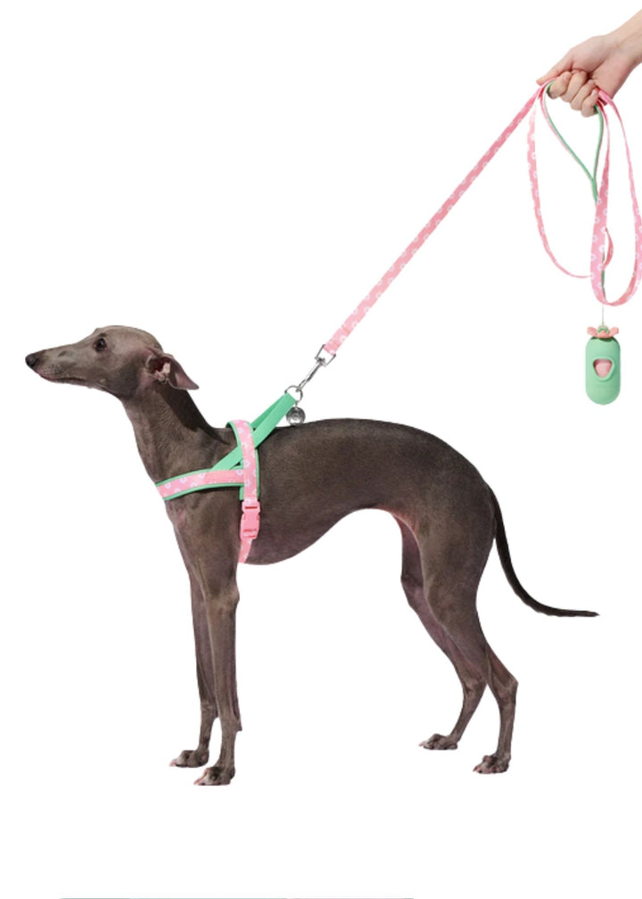Flora Harness &amp; Leash Set