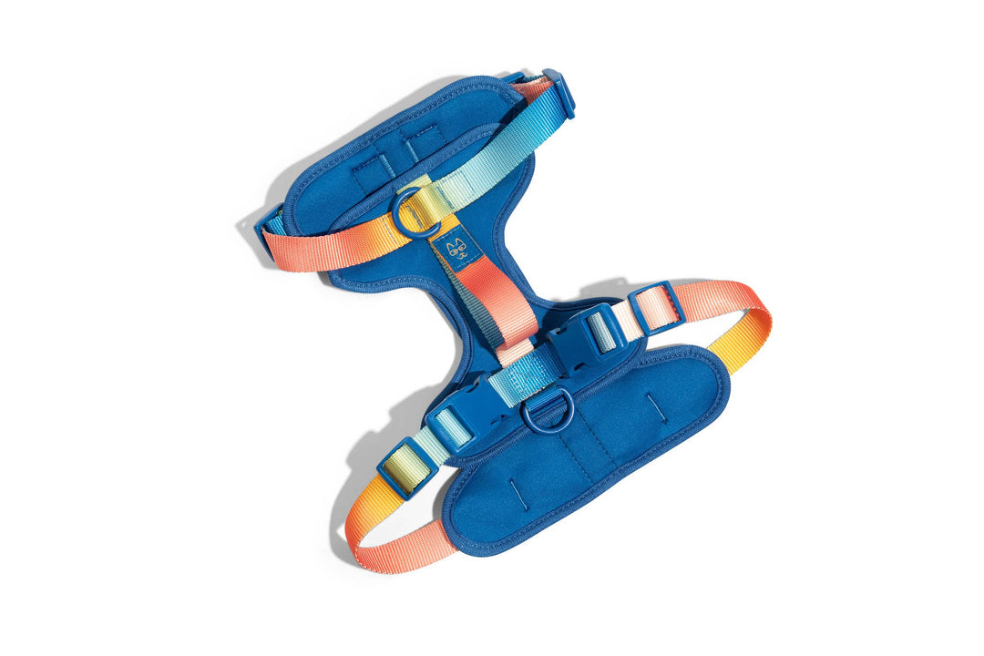 Atlas Blue No Pull Harness