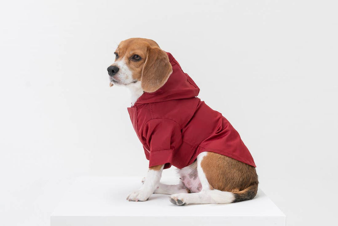 Tribeca Adjustable Velcro Raincoat