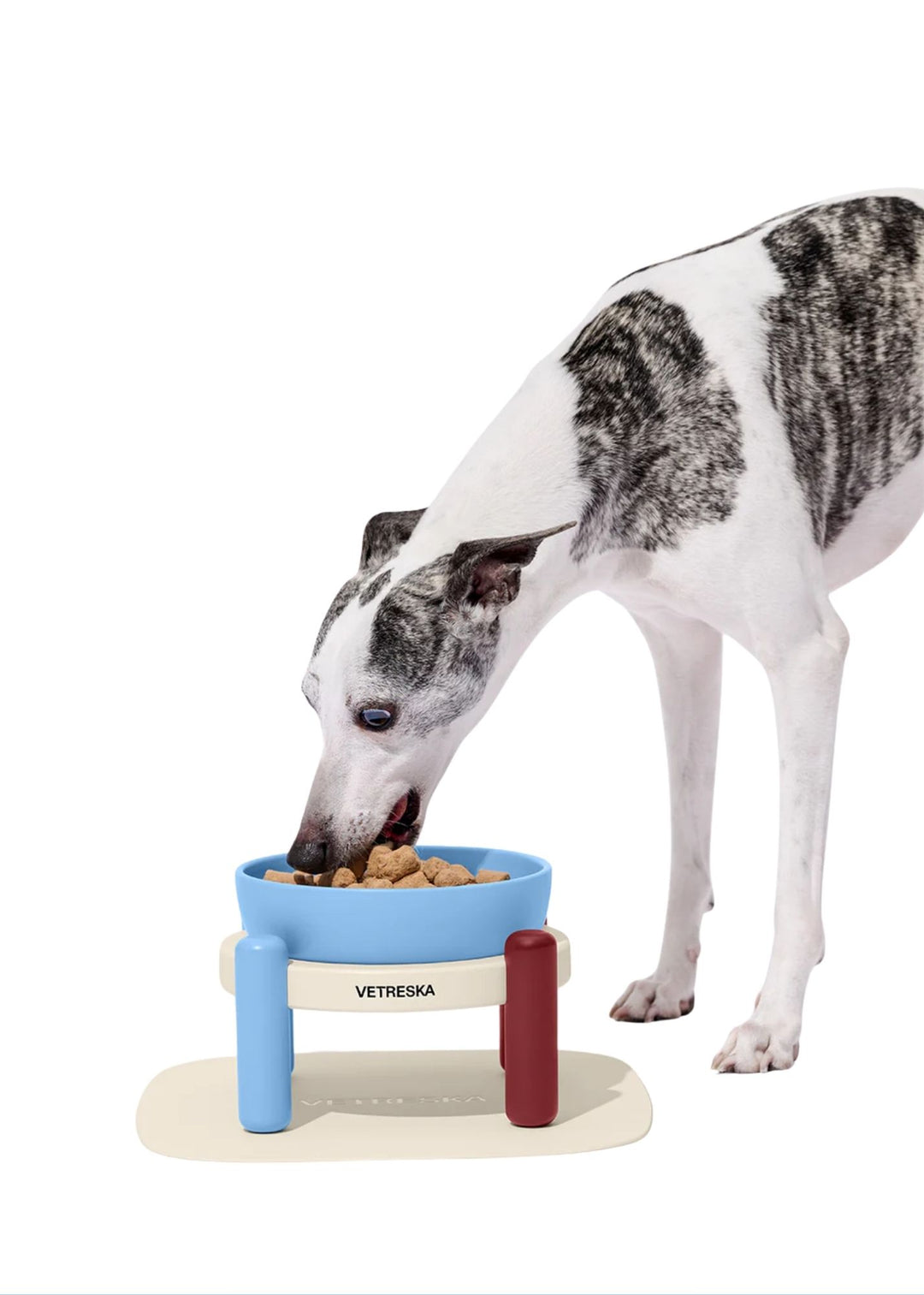 Mist and Merlot Pet Bowl &amp; Mat Set (Medium)