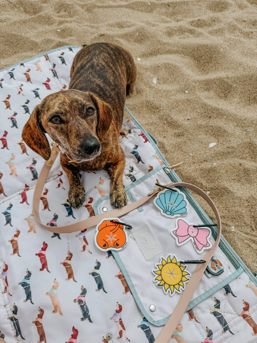 Potty Pal - Dachshund