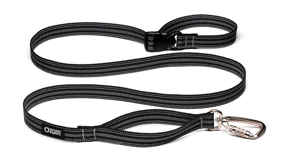 Black Leash Go Dog Glo™ Everyday