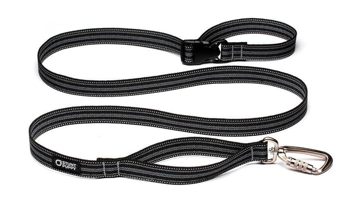 Black Leash Go Dog Glo™ Everyday