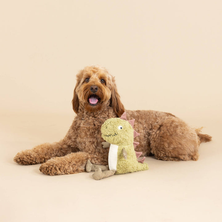 Small Arm, Big Heart Earth Friendly Dog Toy