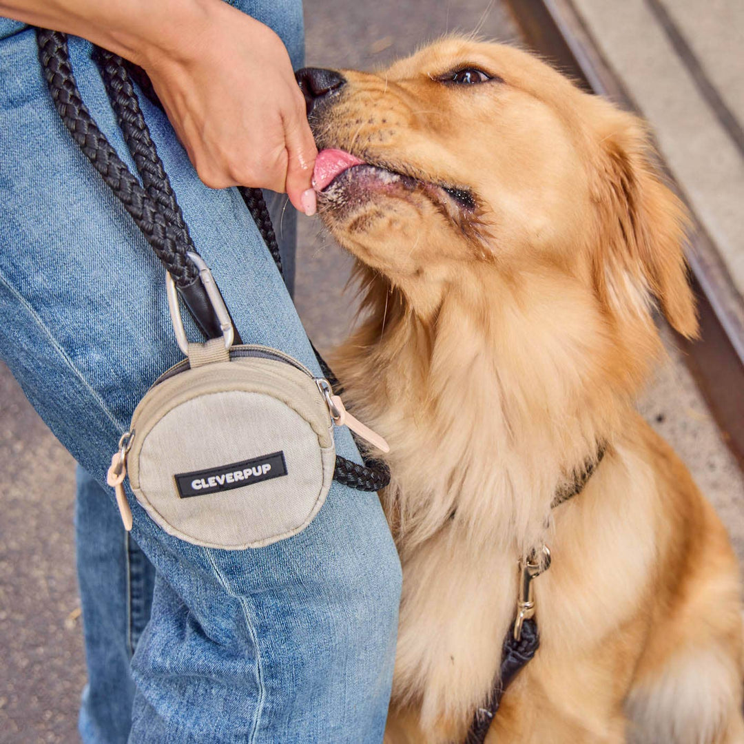 Snackpack Double Insulated Dog Treat Pouch