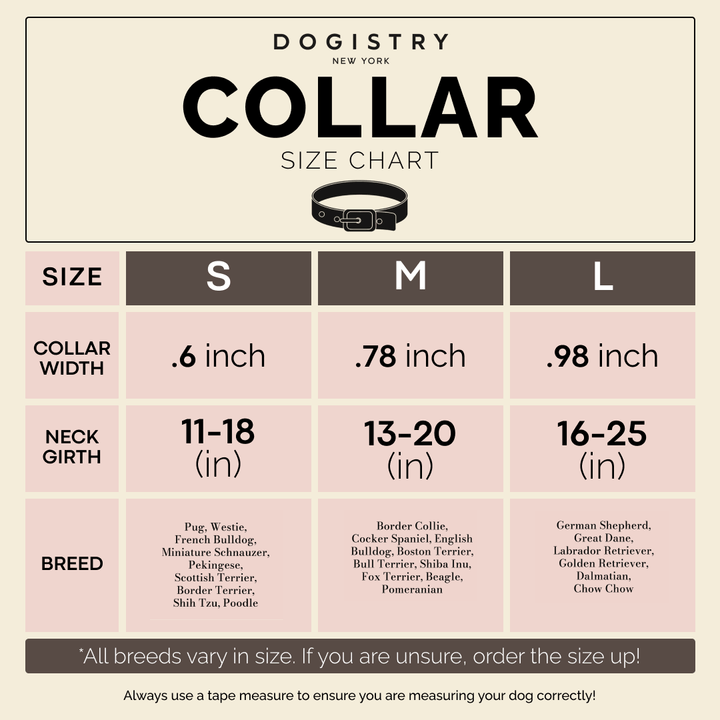 City Collar Rockstar