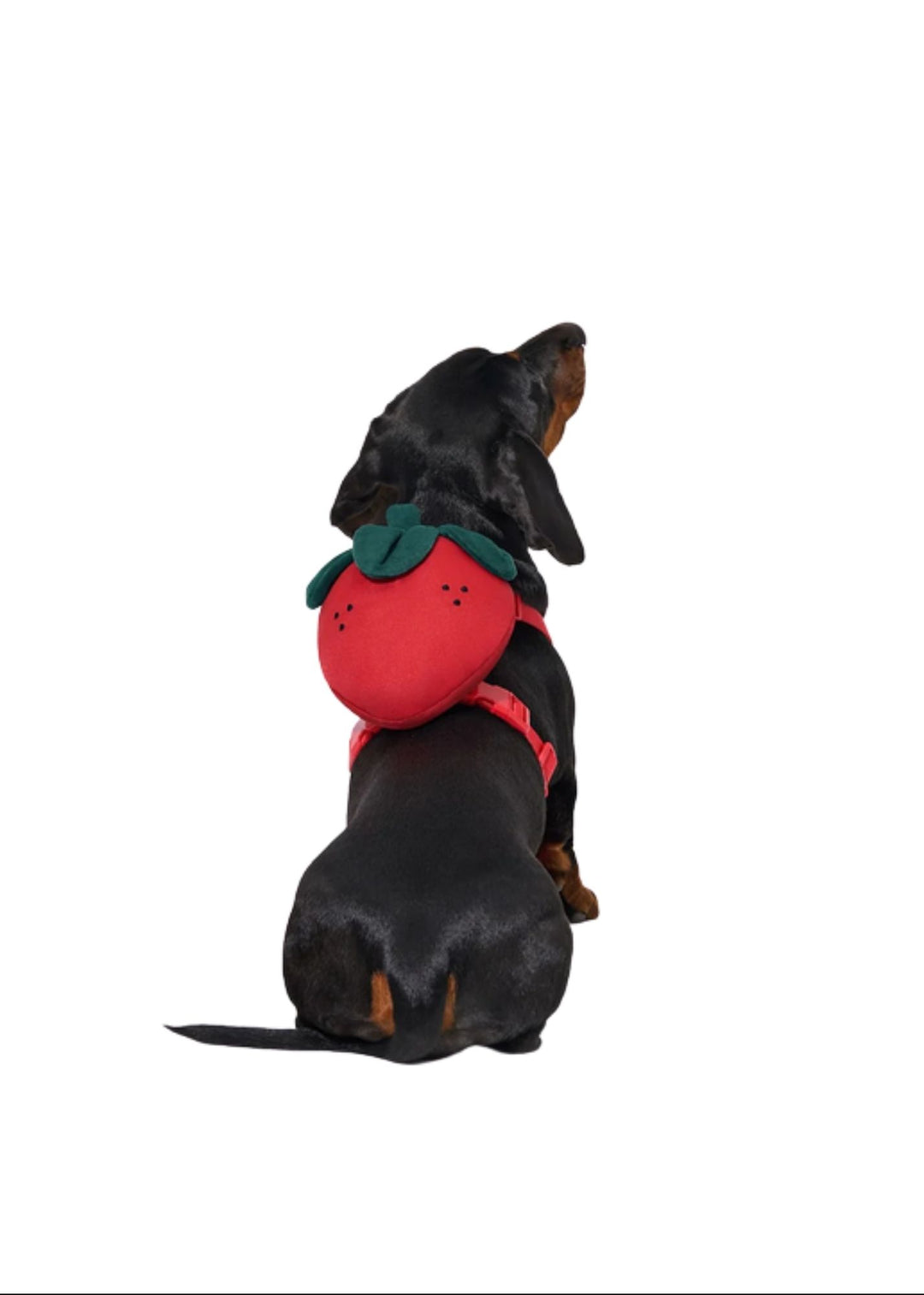 Strawberry Backpack set