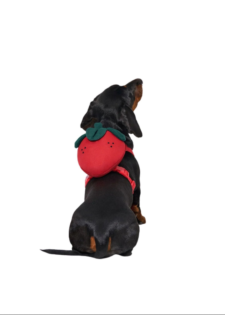 Strawberry Backpack set