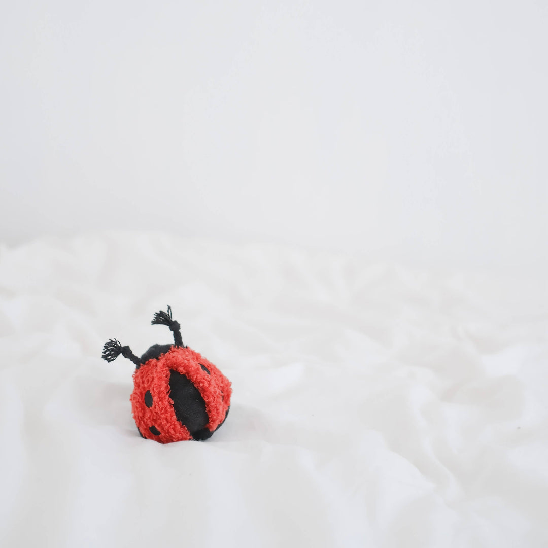 Ladybug Pop Enrichment Snuffle Toy