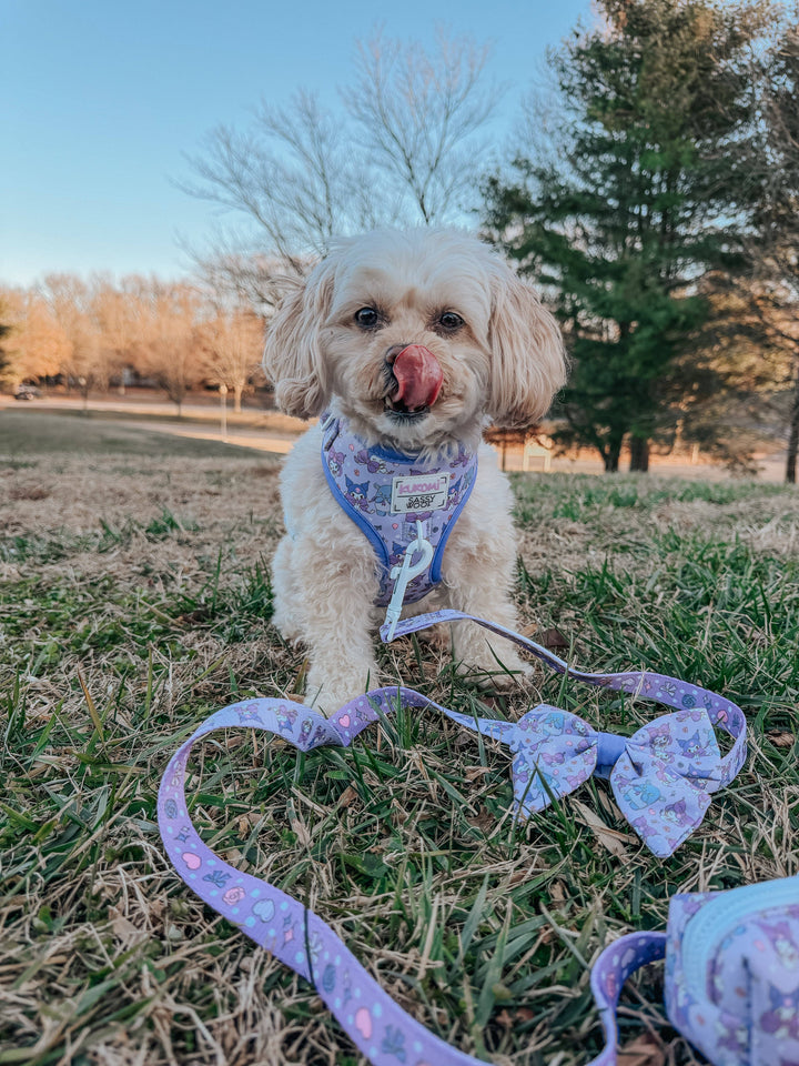 Kuromi™ Dog Leash