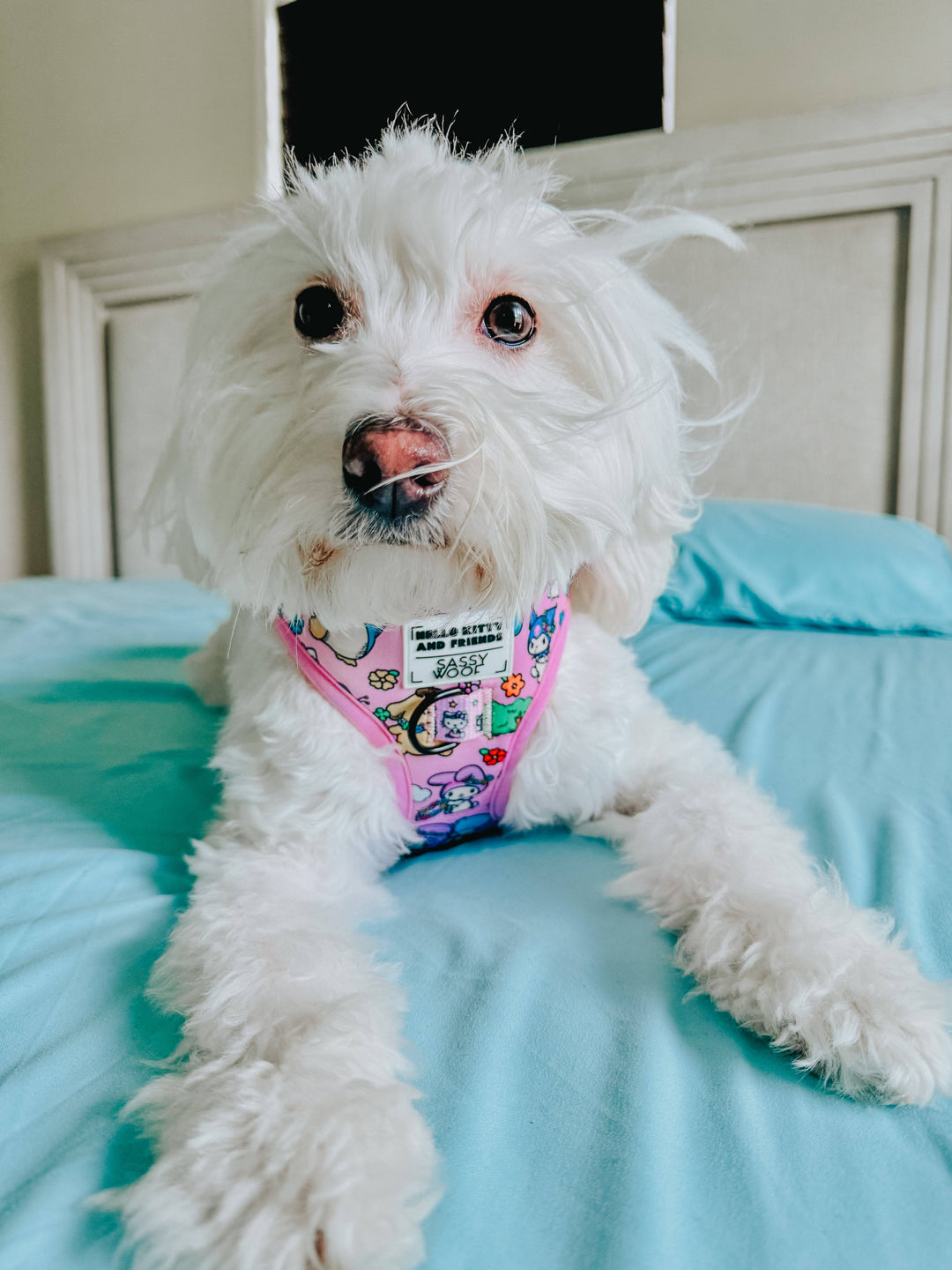Hello Kitty® &amp; Friends Flower Festival - Adjustable Harness