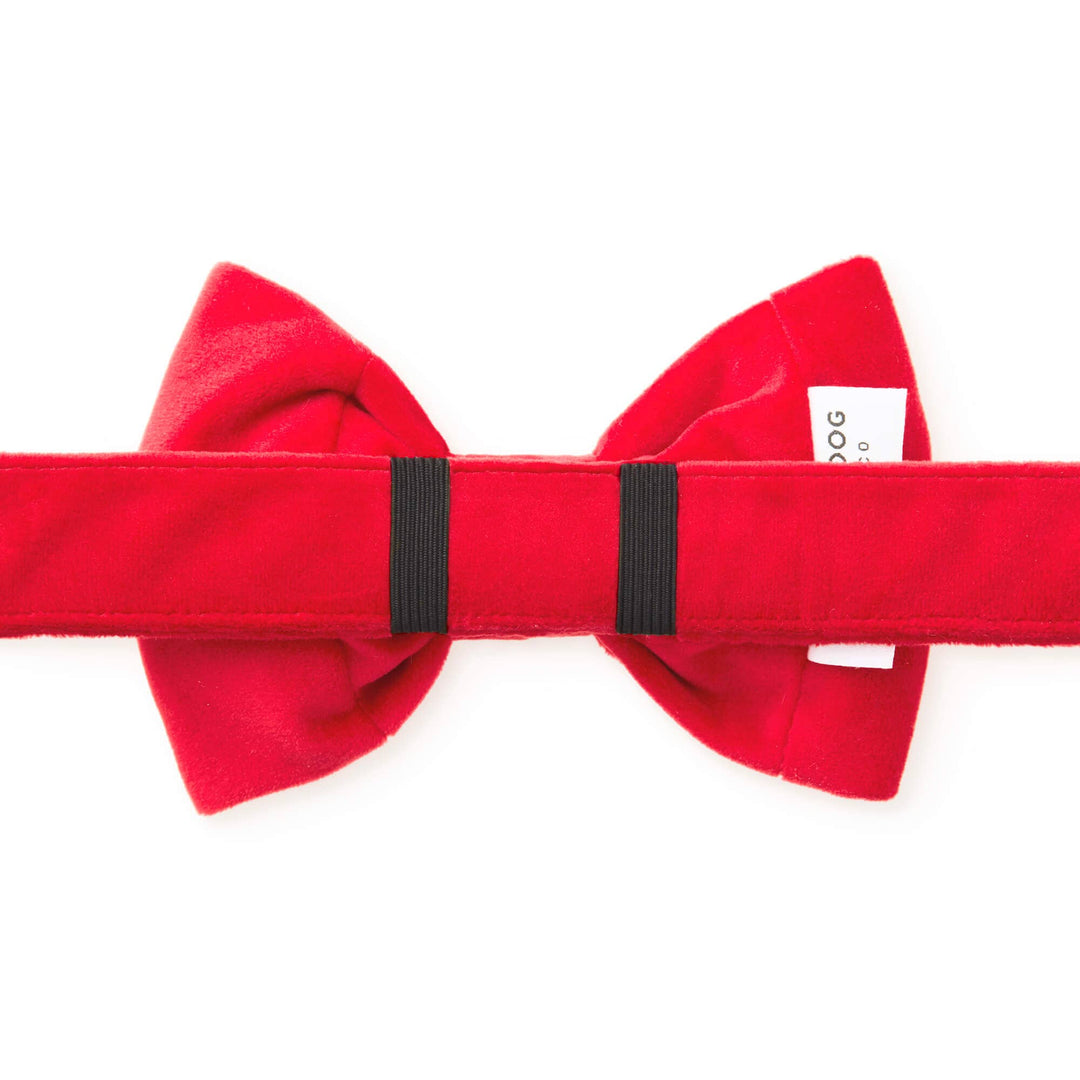 Cranberry Velvet Day Dog Bow Tie
