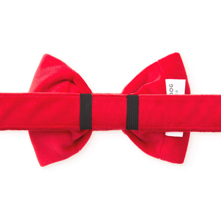 Cranberry Velvet Day Dog Bow Tie