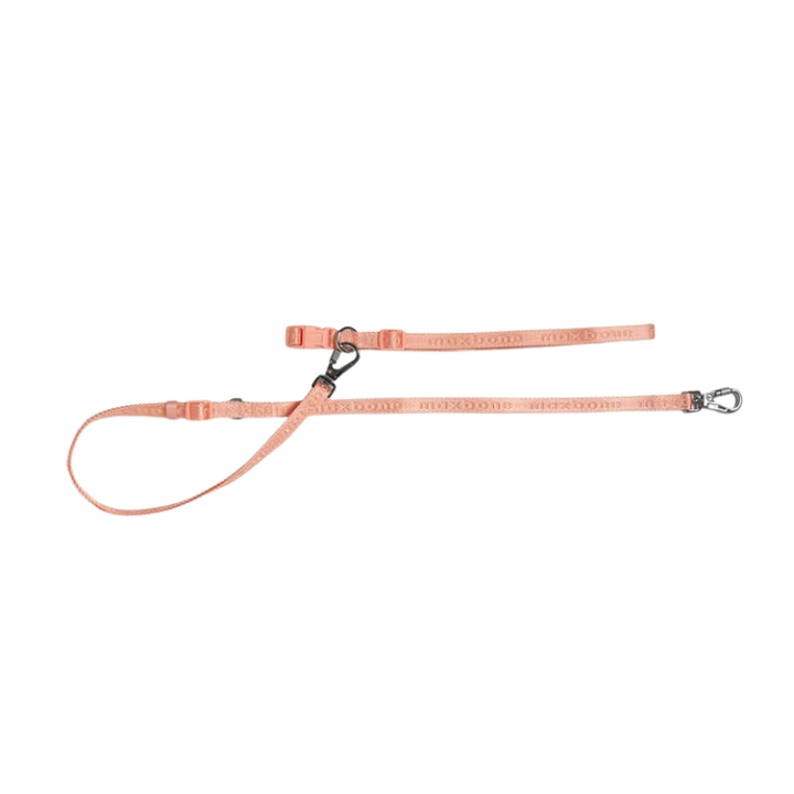 Signature Collar for Dogs