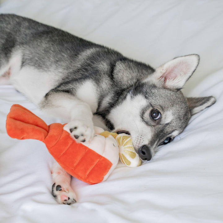 Grilled Lobster Nosework Toy