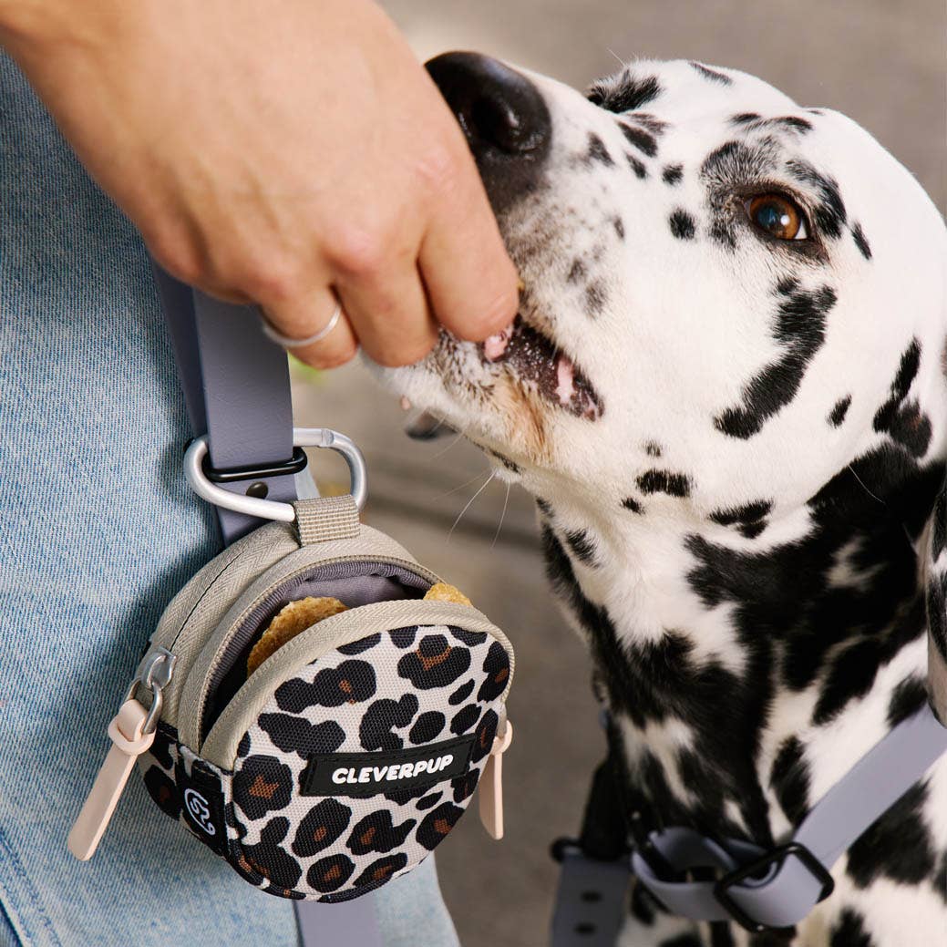 Snackpack Double Insulated Dog Treat Pouch
