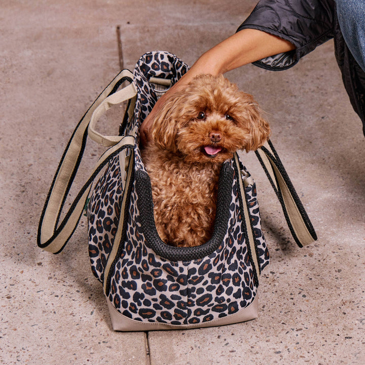Transit Tote Dog Carrier