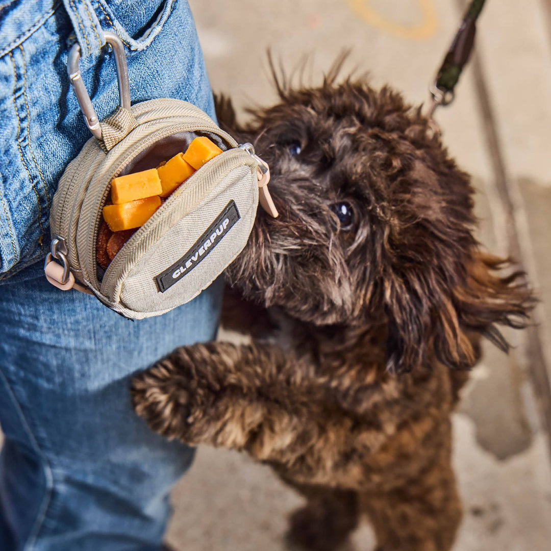 Snackpack Double Insulated Dog Treat Pouch