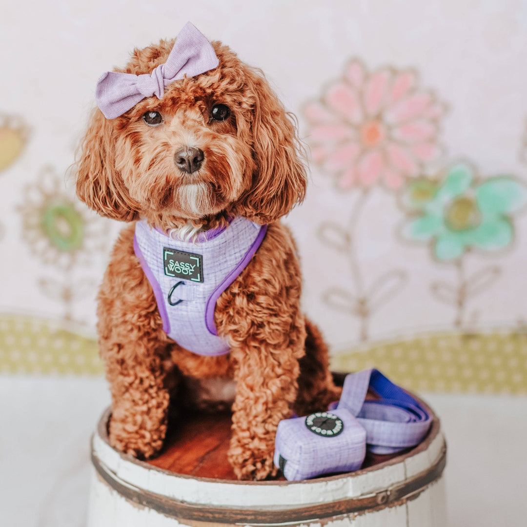 Dog Waste Bag Holder Aurora